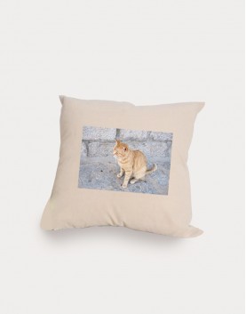 |訂購需先詢問|植絨抱枕-12色|含枕心|